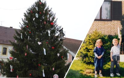 Otmjenu smreku staru 31 godinu poklonili Vičevići s Krnjaša